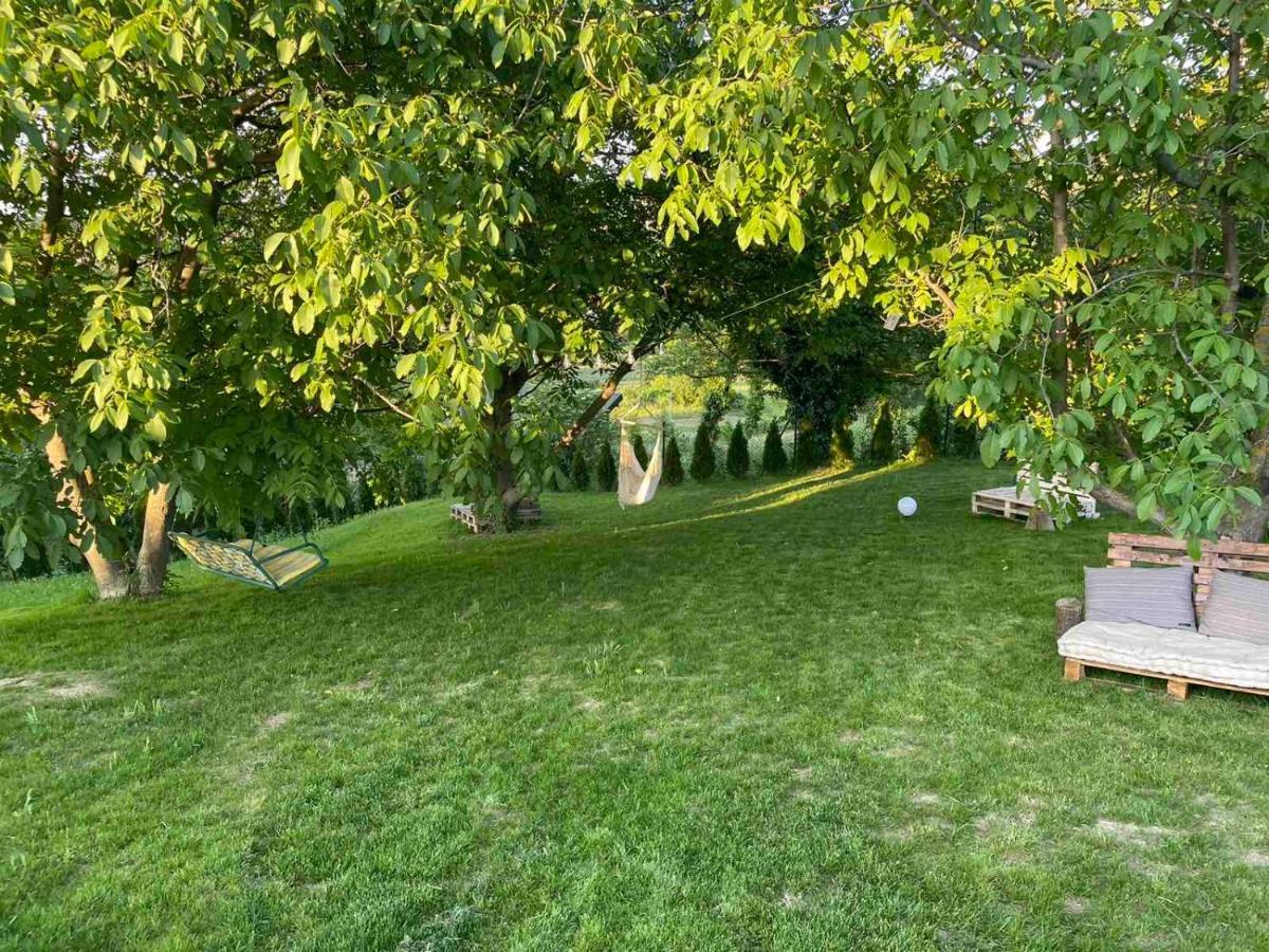 Todor Boutique House Villa Sremska Kamenica Exterior photo