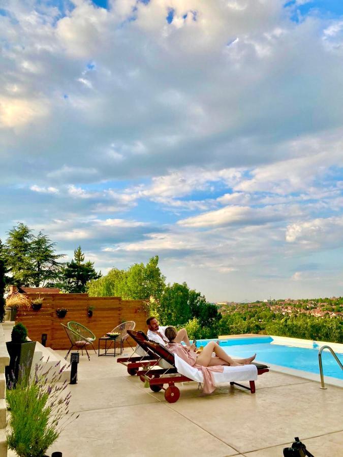 Todor Boutique House Villa Sremska Kamenica Exterior photo